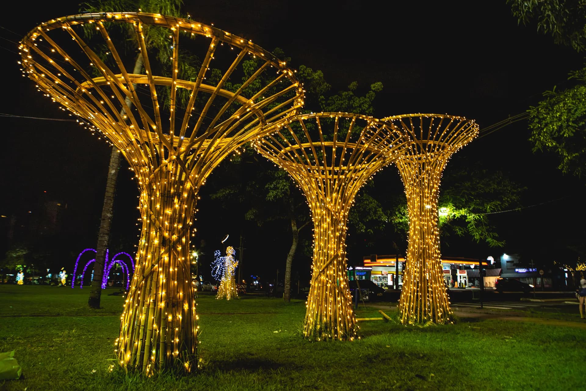 A Matemática da Arquitetura Efêmera: Como o Bambu Evitou 295 Toneladas de Carbono no Natal de Maringá