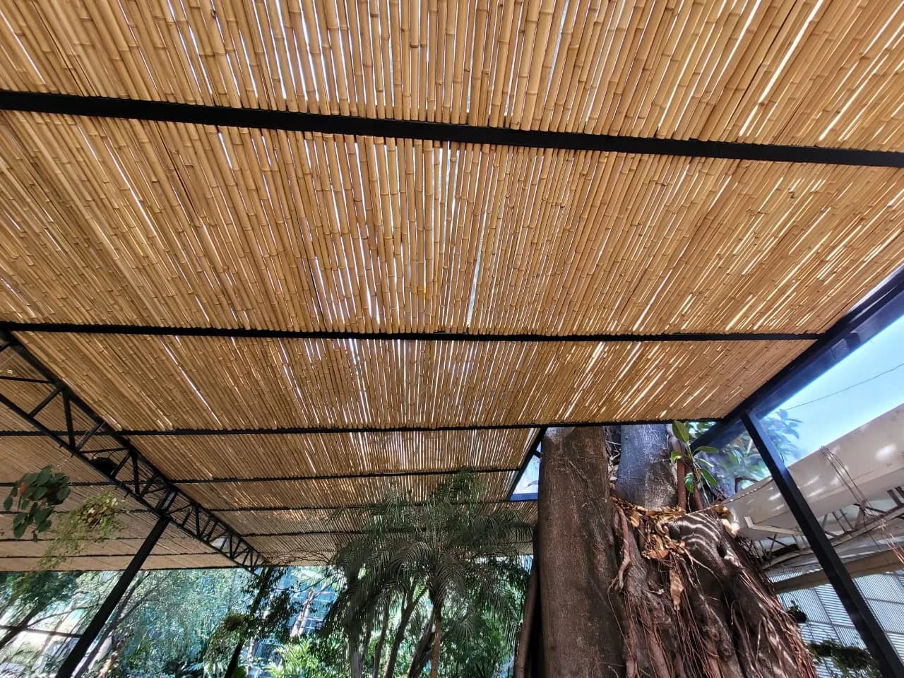 Cobertura de ripado de bambu sobre o deck externo do Capim Santo, filtrando luz e calor.