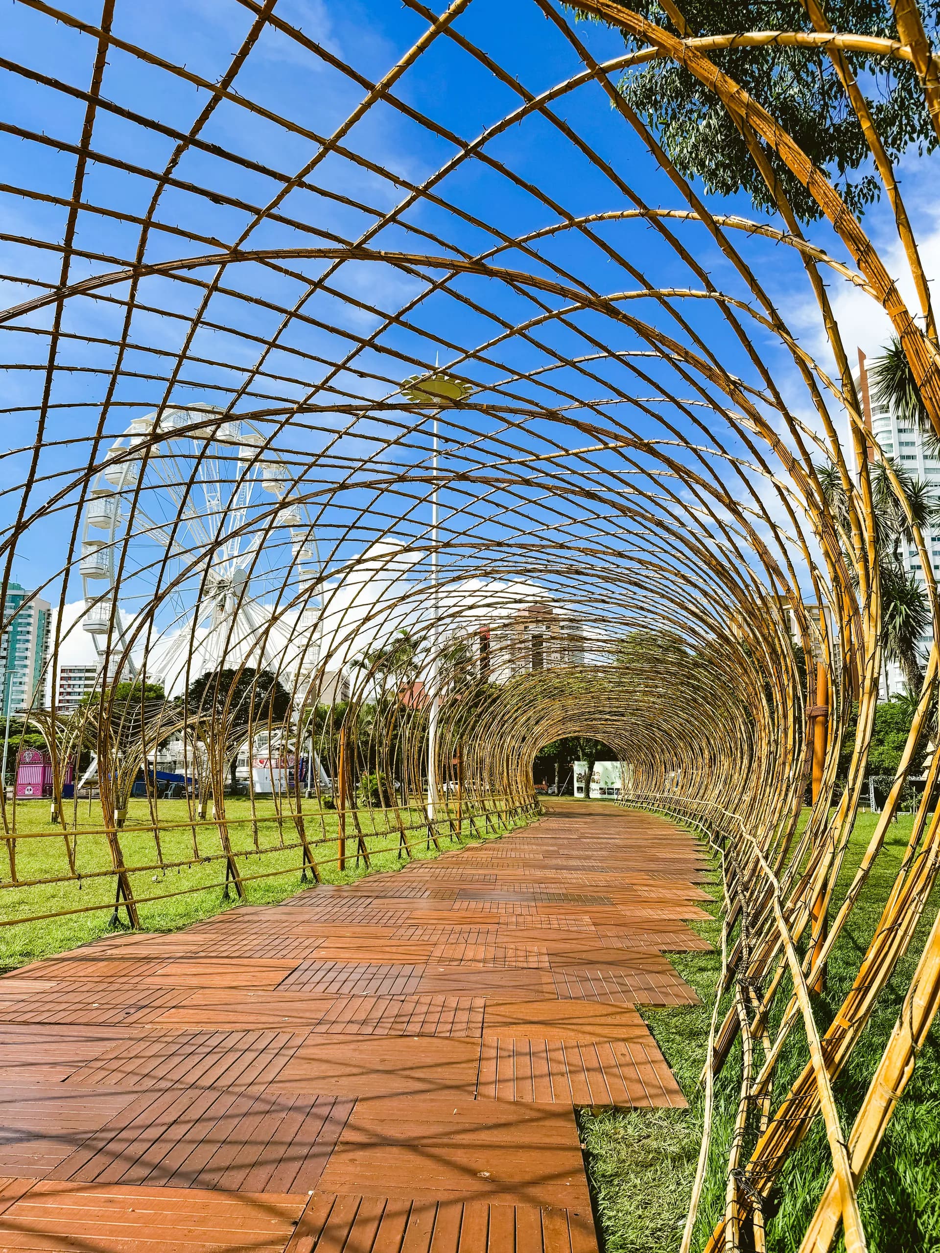 Túnel de bambu iluminado — Natal dos Pioneiros — Cascavel 2024.