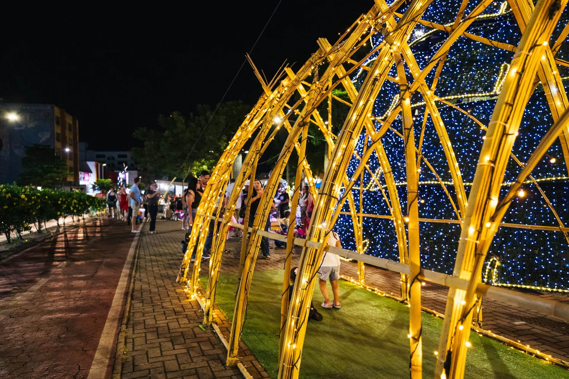Túnel de bambu iluminado — Natal dos Pioneiros — Cascavel 2025.