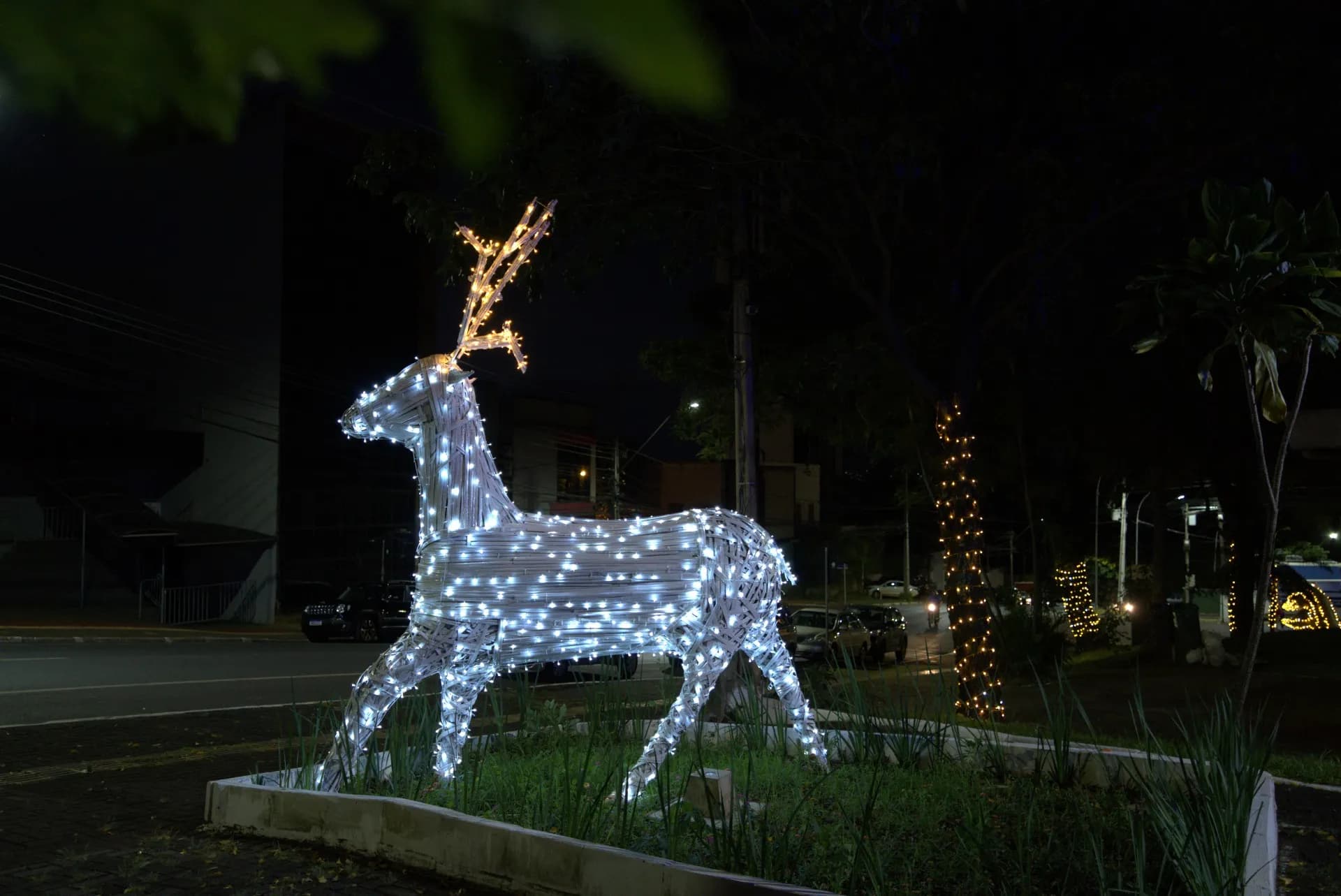 Rena cenográfica em bambu iluminada — Natal Foz do Iguaçu 2025.