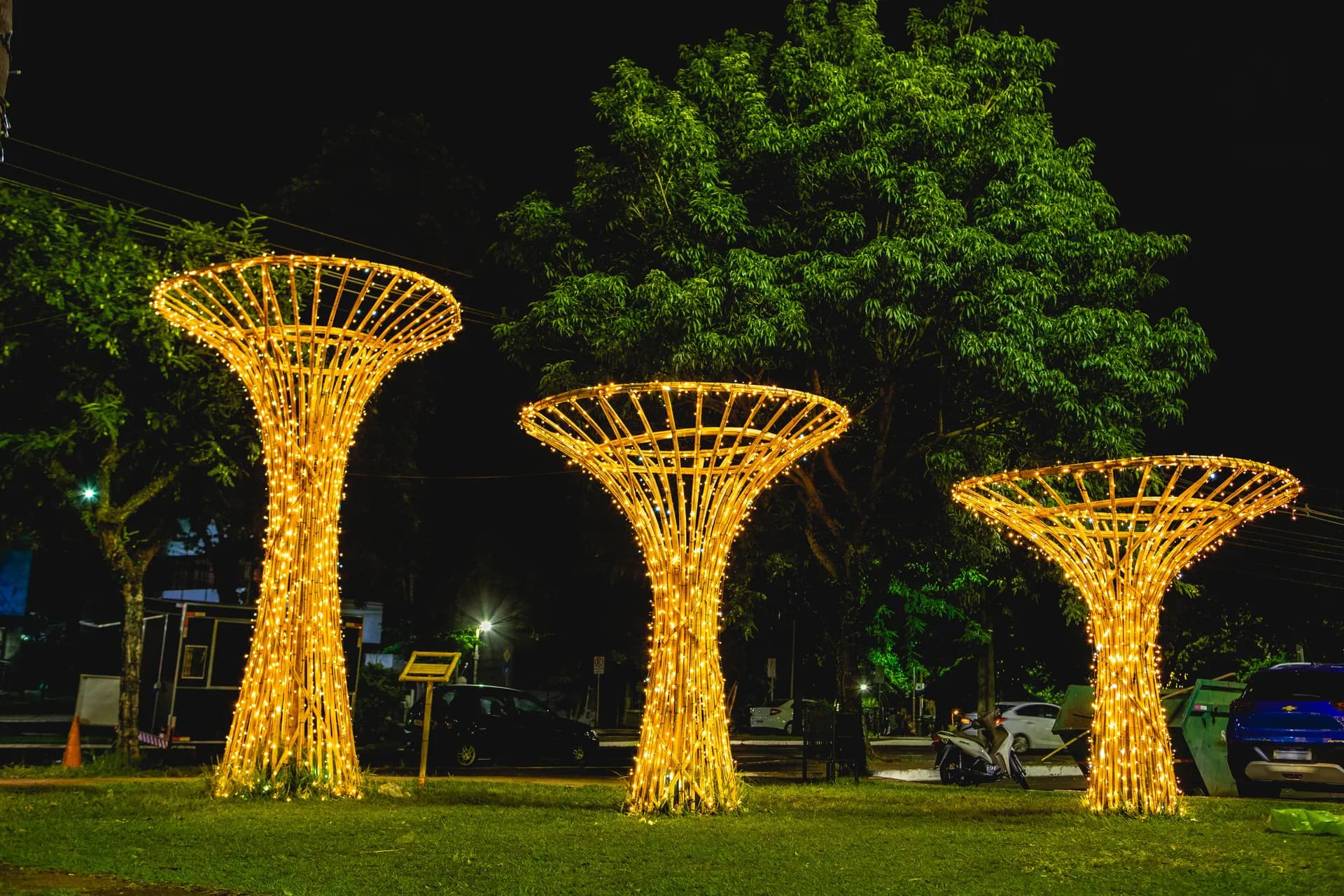 Árvores estilizadas de bambu iluminadas à noite — Maringá Encantada 2023.