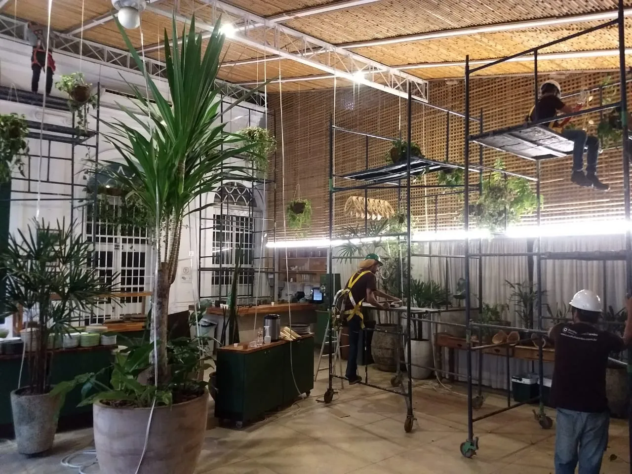 Montagem dos painéis de bambu no salão interno do Capim Santo, com andaime e equipe.