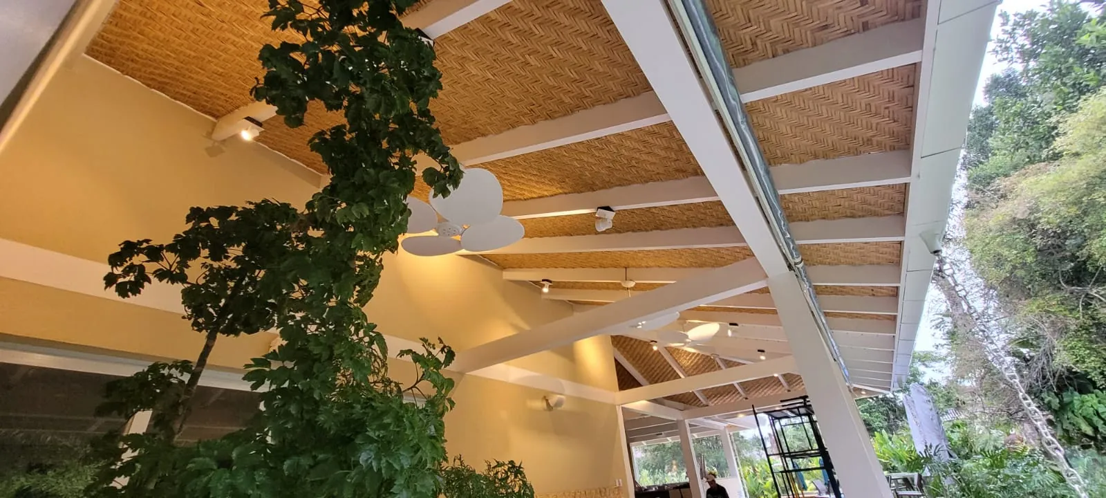 Forro de esteira de bambu da Casa Iporanga — registro de obra.