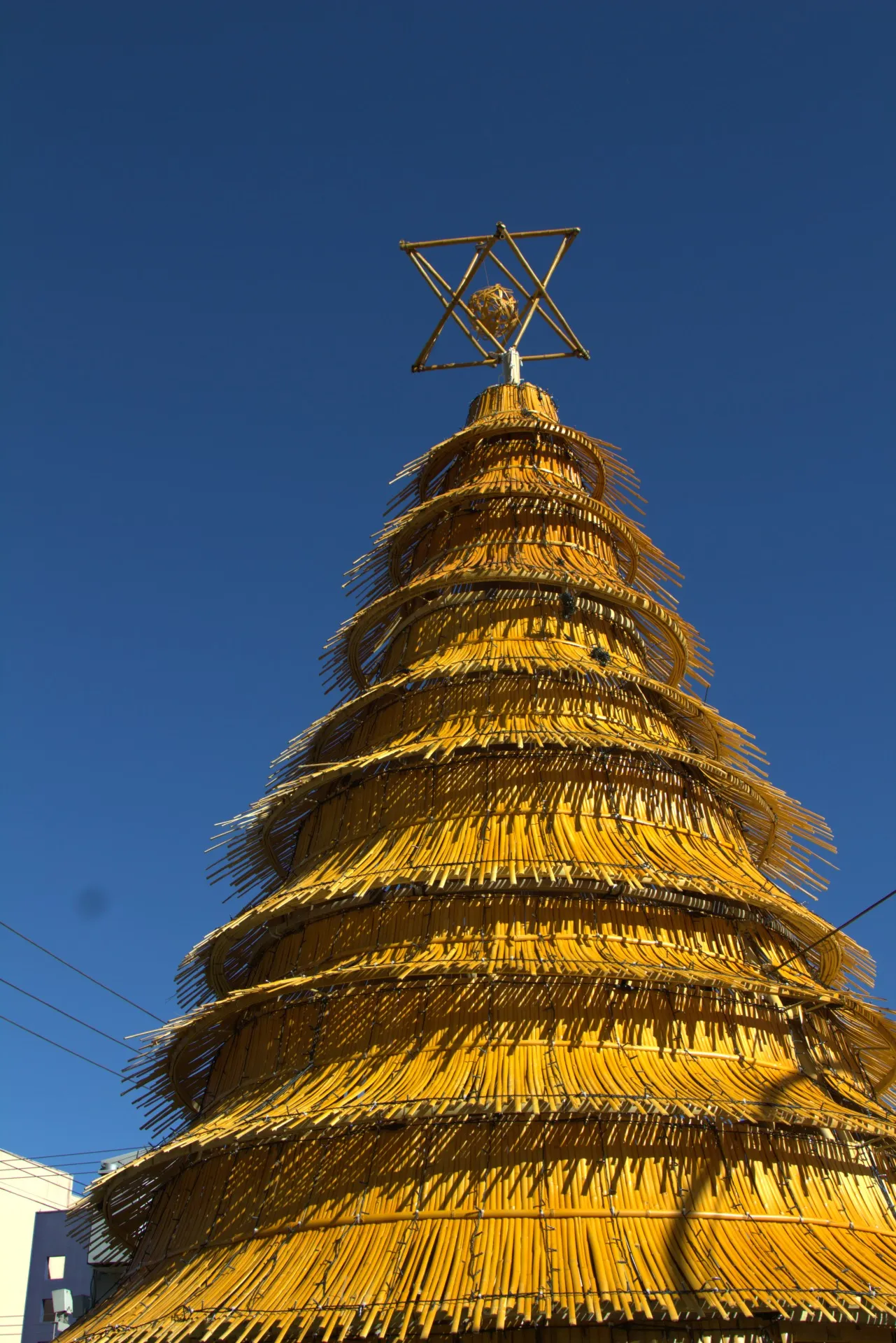 Cenografia em bambu — Natal dos Pioneiros — Cascavel 2024, Bambusa Atelier.