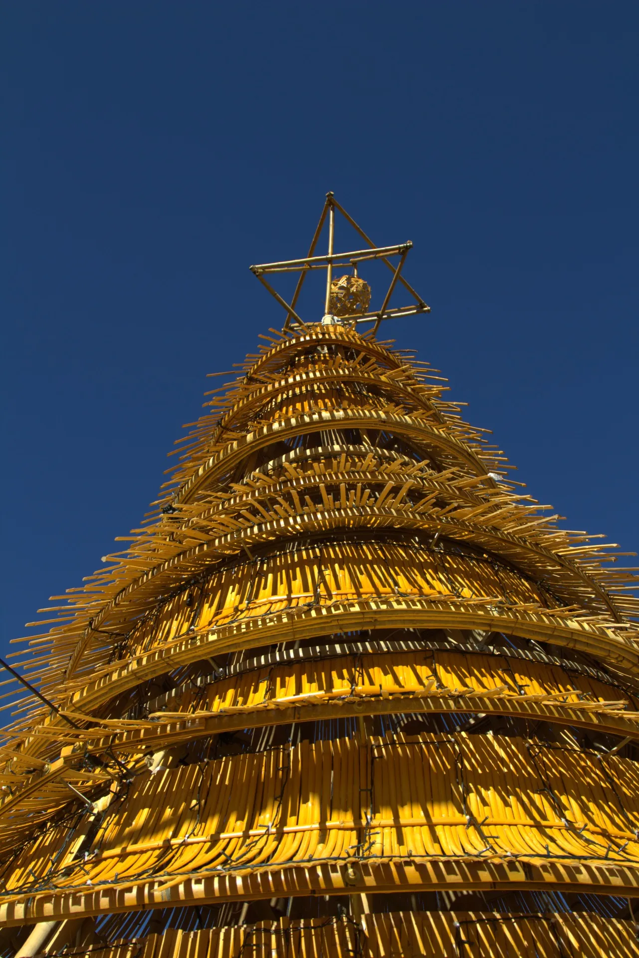 Árvore de Natal em bambu com estrela no topo — Natal dos Pioneiros — Cascavel 2024.