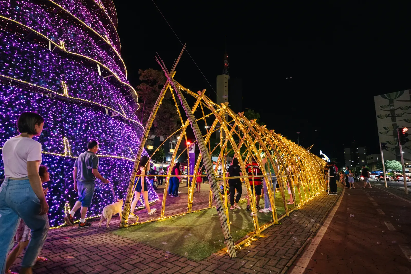 Túnel de bambu iluminado — Natal dos Pioneiros — Cascavel 2025.