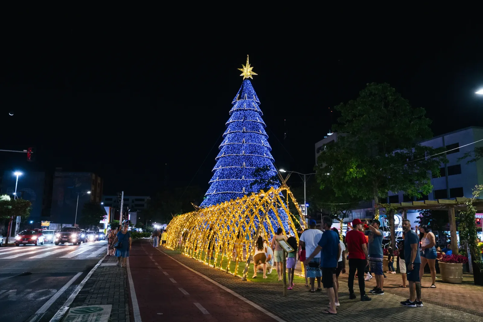 Túnel de bambu iluminado — Natal dos Pioneiros — Cascavel 2025.