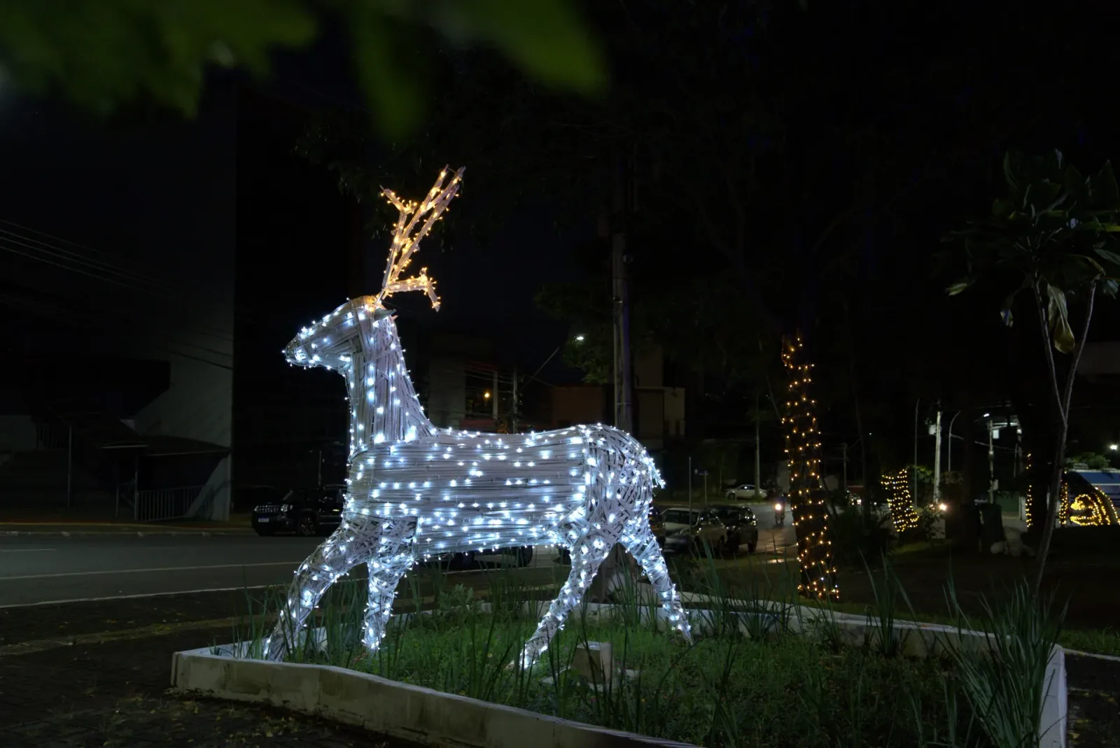 Rena cenográfica em bambu iluminada — Natal Foz do Iguaçu 2025.