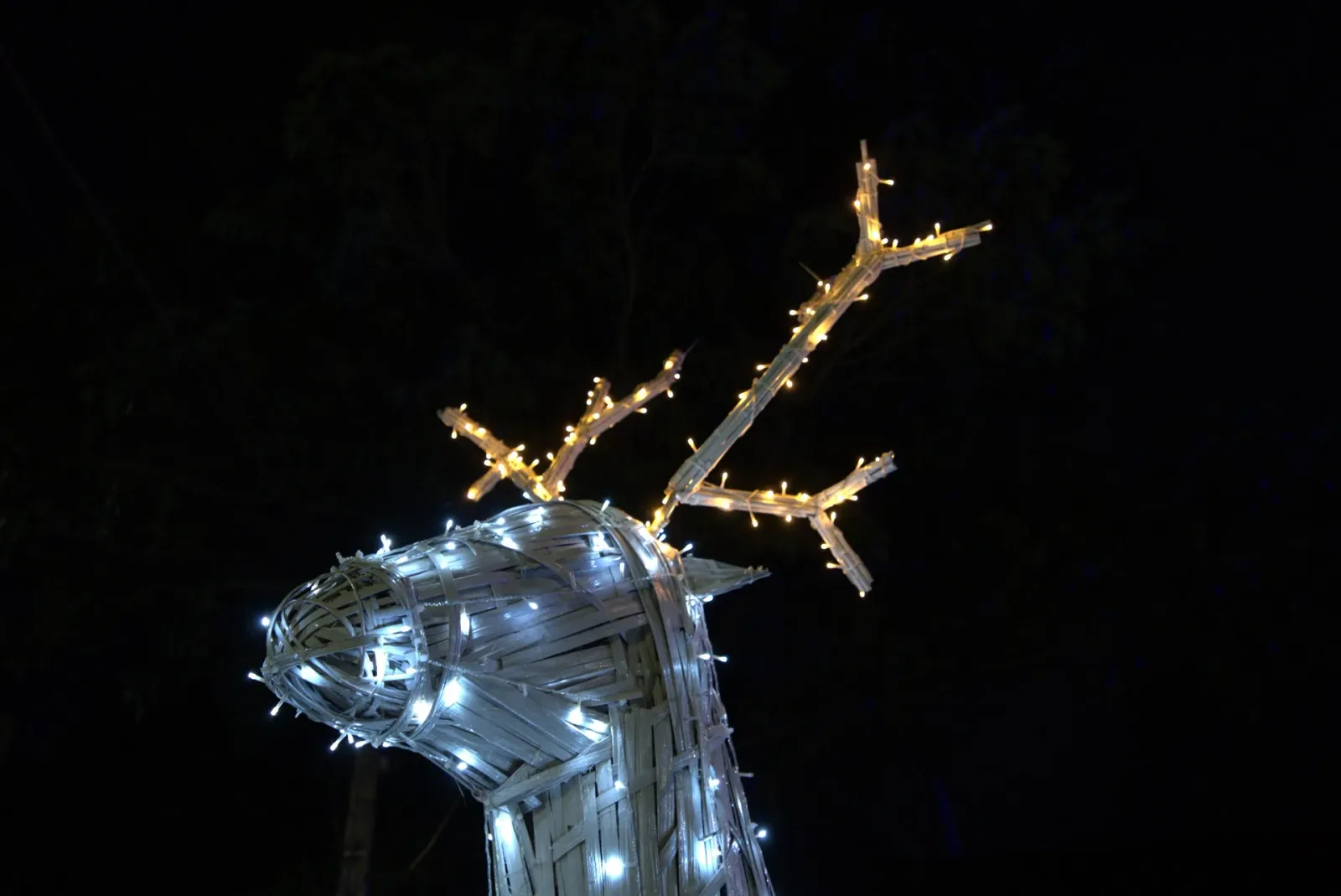 Rena cenográfica em bambu iluminada — Natal Foz do Iguaçu 2025.