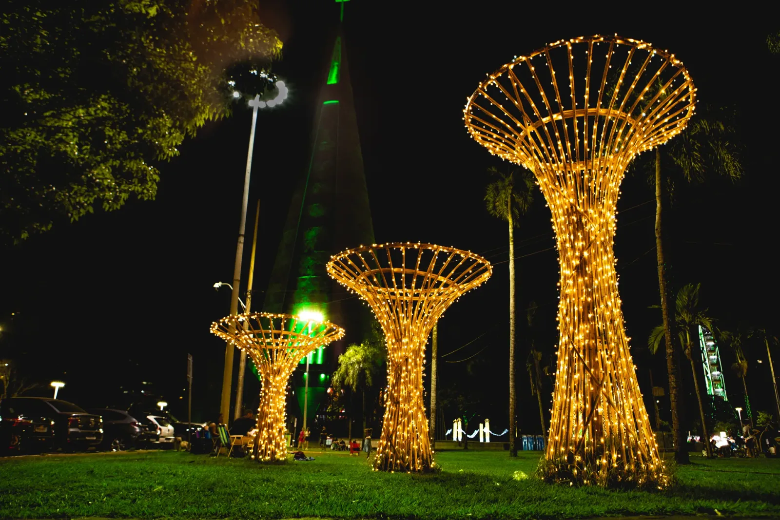 Árvores estilizadas de bambu iluminadas à noite — Maringá Encantada 2023.