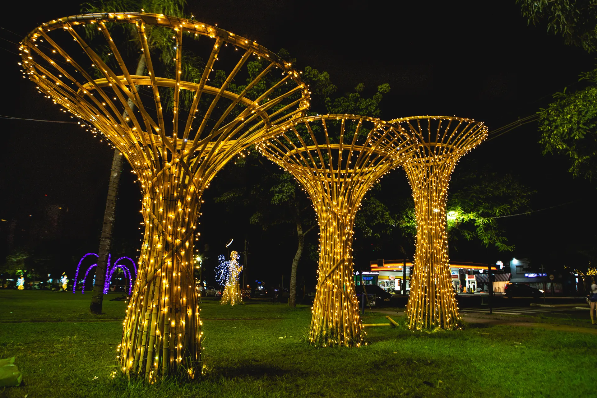 Árvores estilizadas de bambu iluminadas à noite — Maringá Encantada 2023, Parque do Japão.