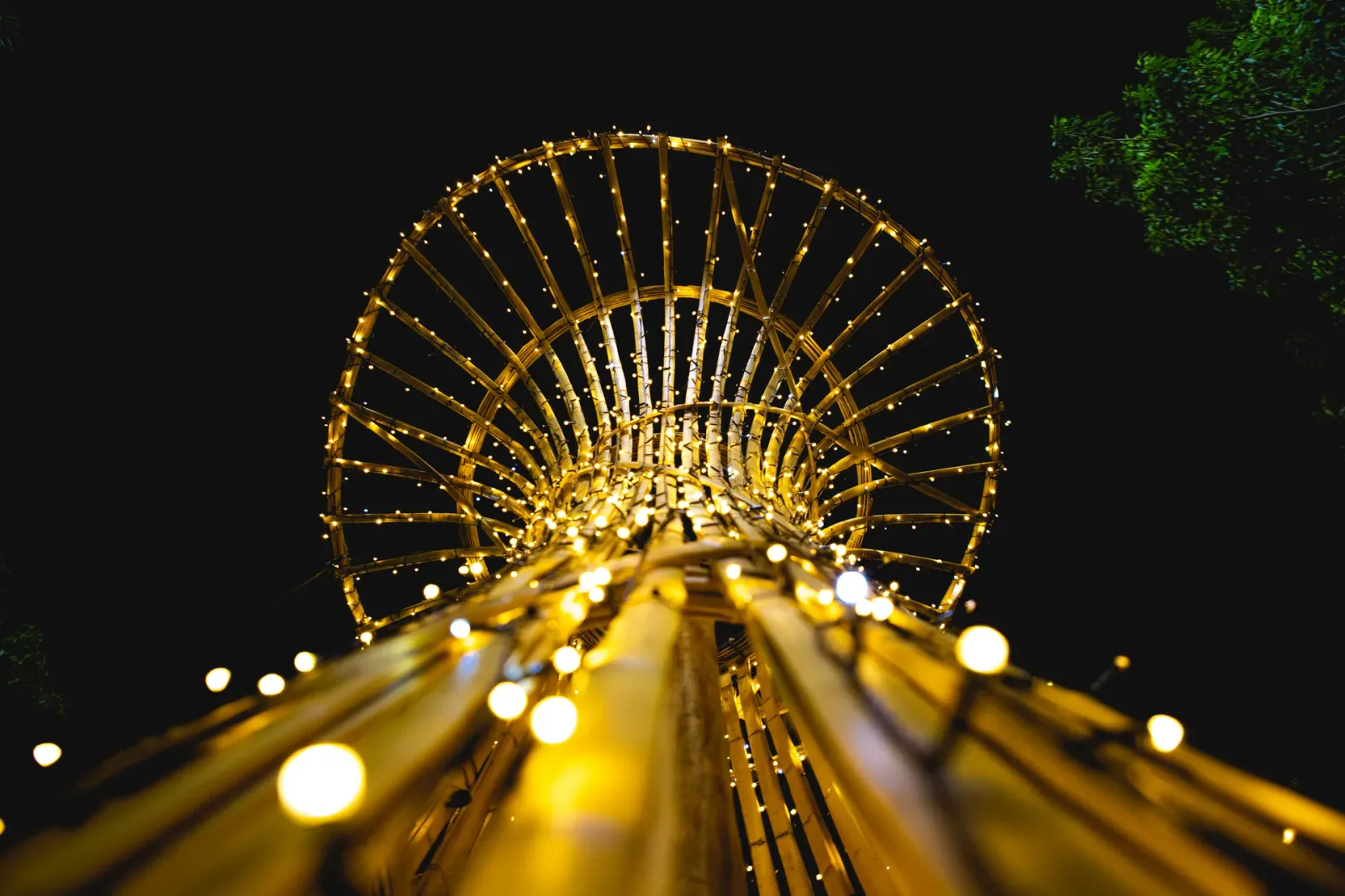 Árvores estilizadas de bambu iluminadas à noite — Maringá Encantada 2023.