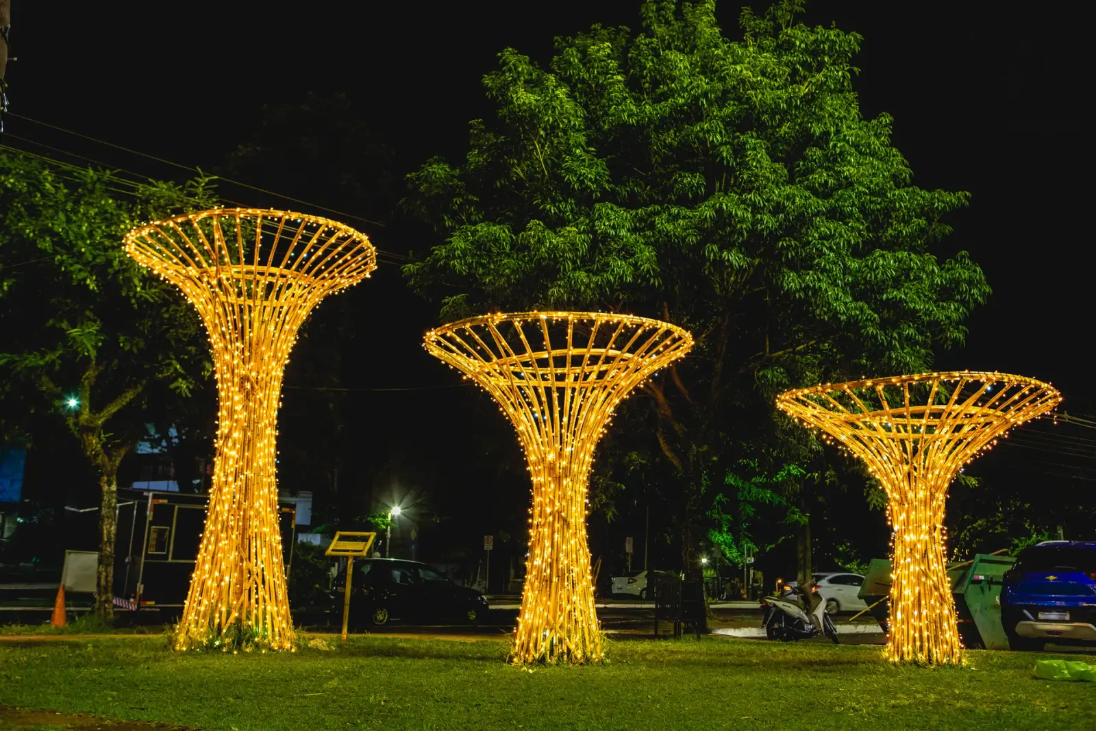 Árvores estilizadas de bambu iluminadas à noite — Maringá Encantada 2023.