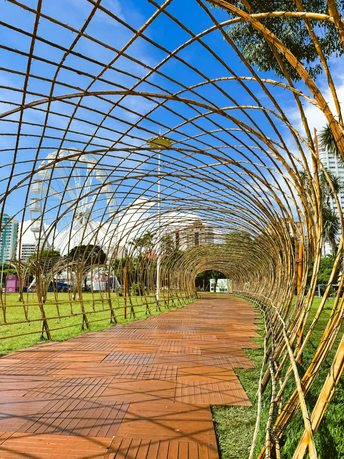 Túnel de bambu à luz do dia — Maringá Encantada 2023.