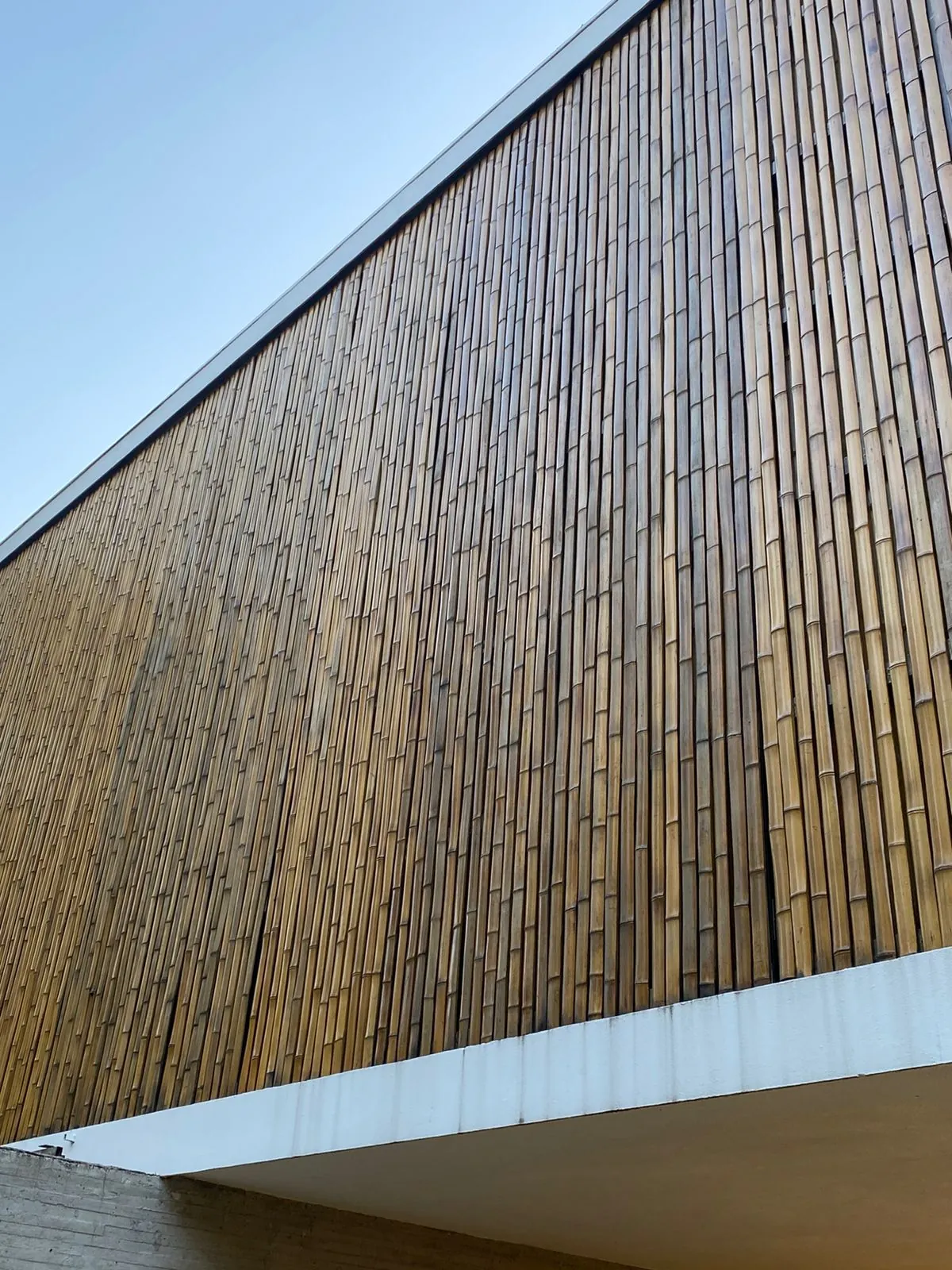 Revestimento de bambu da Casa da Praia da Feiticeira (MK27) — registro de obra.