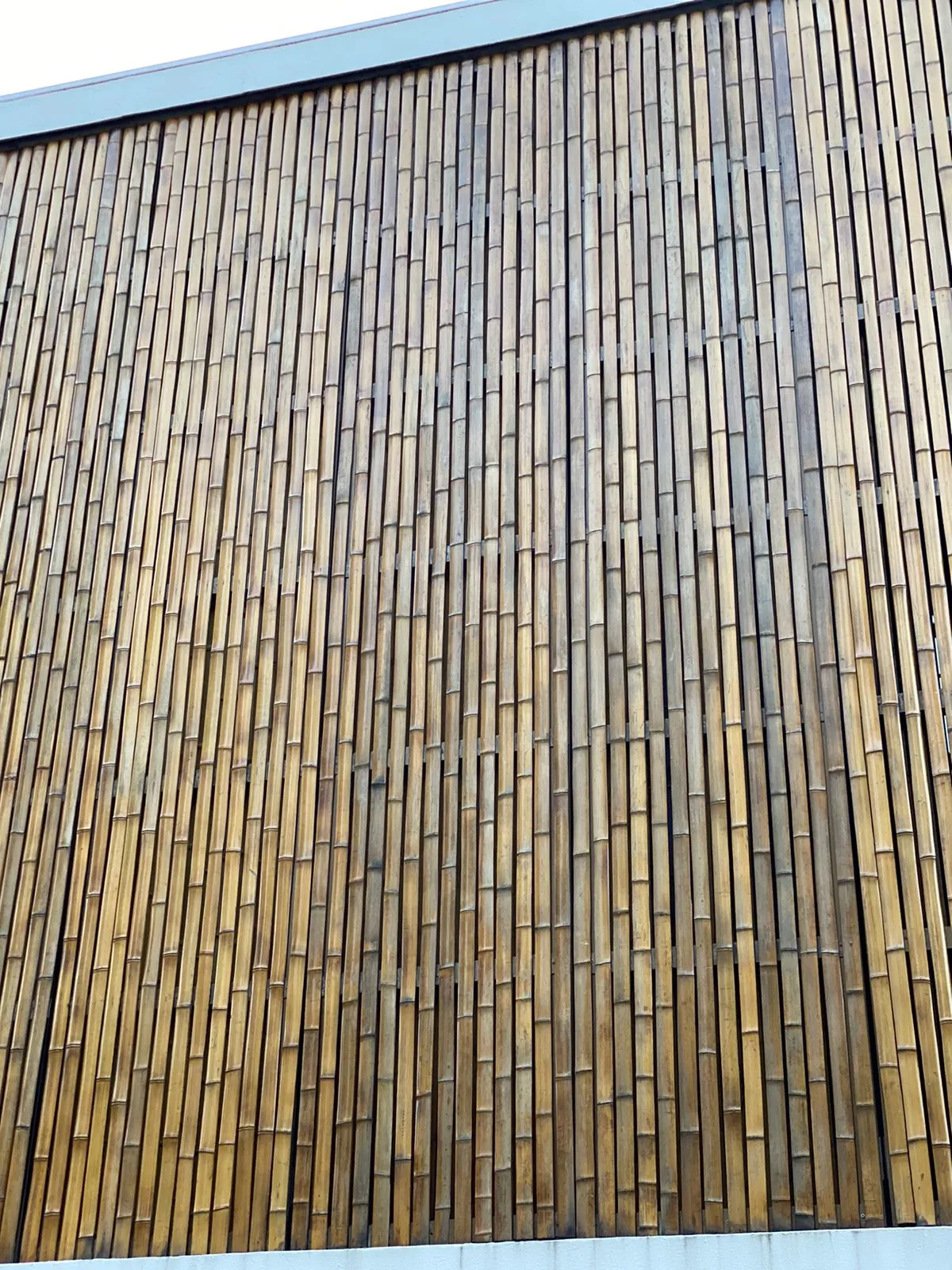 Revestimento de bambu da Casa da Praia da Feiticeira (MK27) — registro de obra.