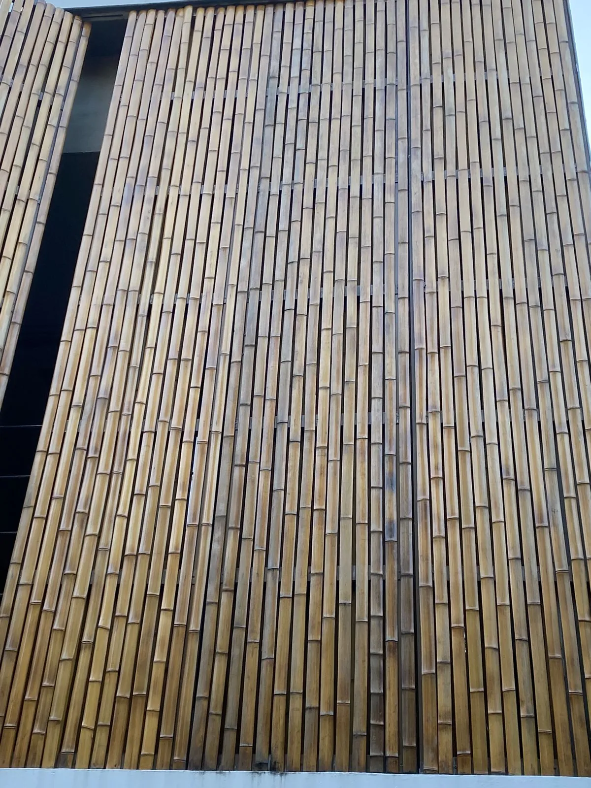 Revestimento de bambu da Casa da Praia da Feiticeira (MK27) — registro de obra.