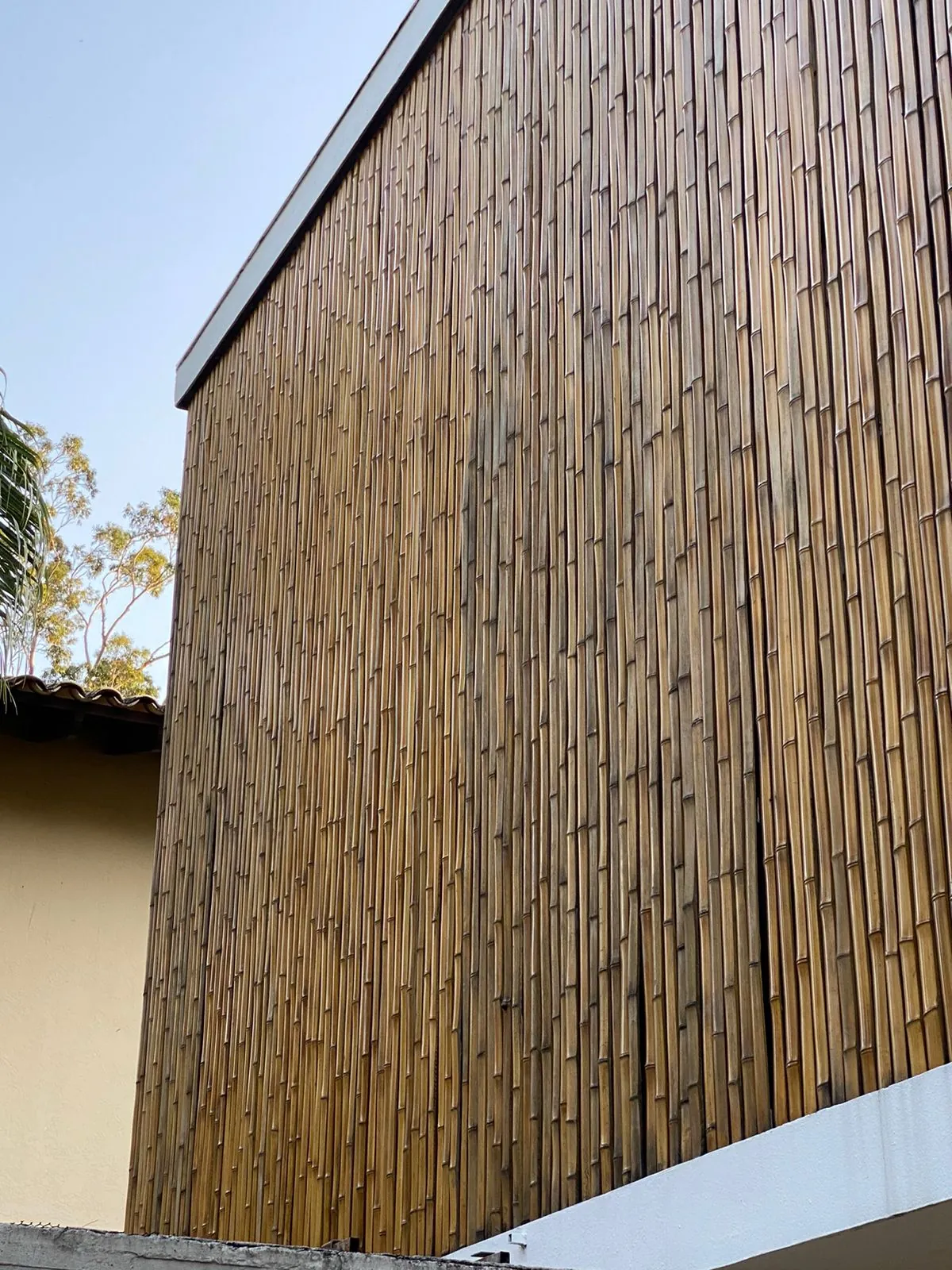 Revestimento de bambu da Casa da Praia da Feiticeira (MK27) — registro de obra.