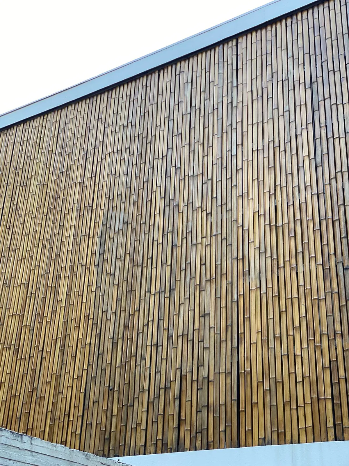 Revestimento de bambu da Casa da Praia da Feiticeira (MK27) — registro de obra.