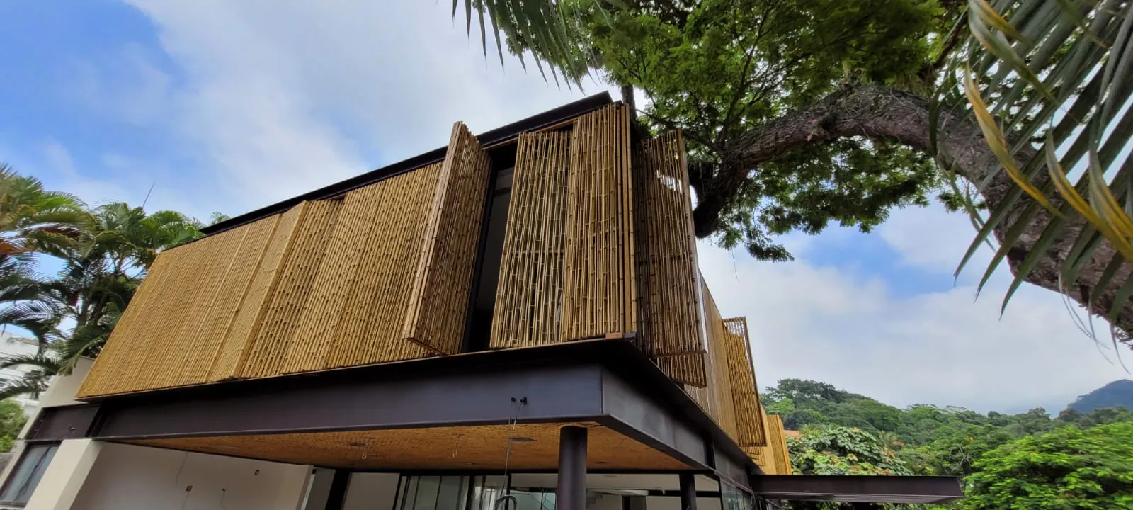 Fachada/brise de bambu do projeto MPG — registro de obra.