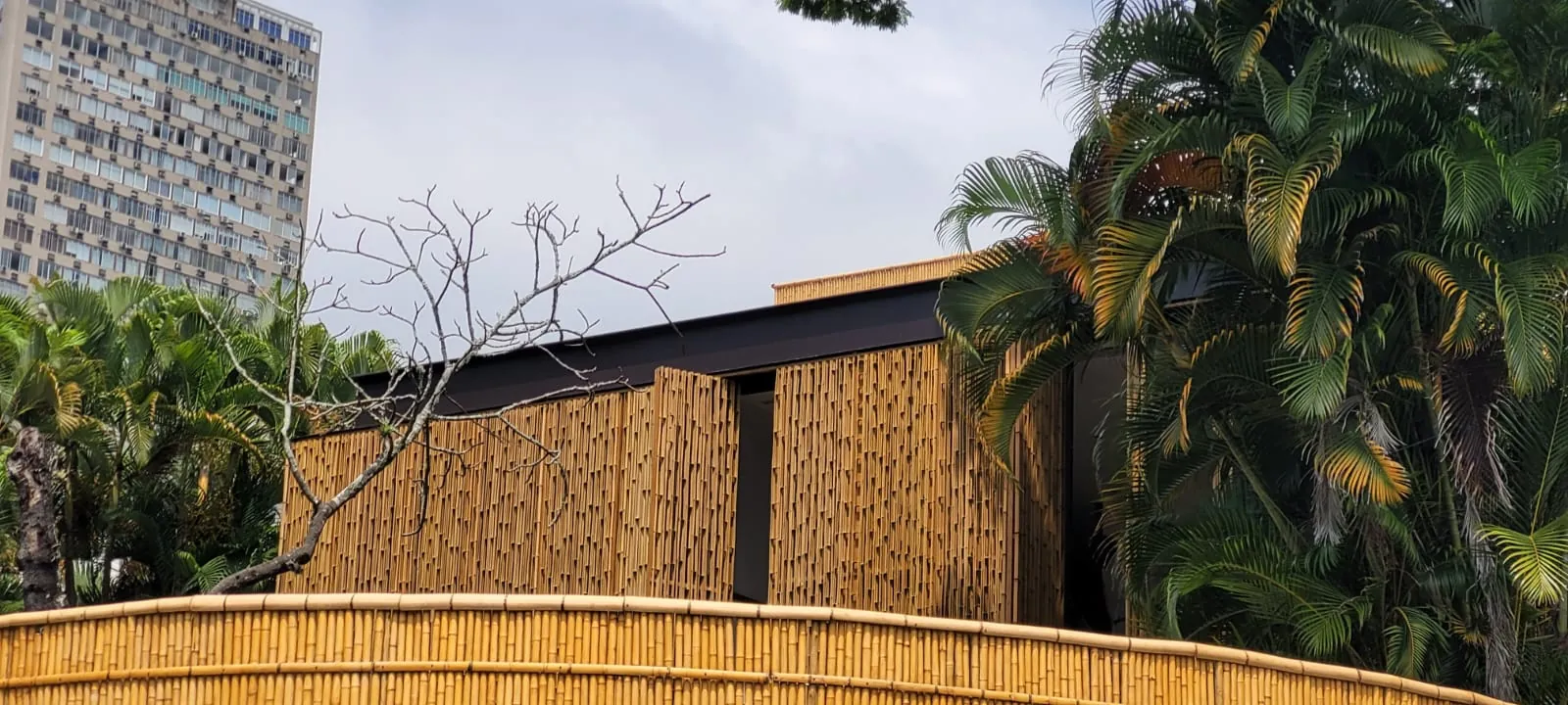 Fachada/brise de bambu do projeto MPG — registro de obra.