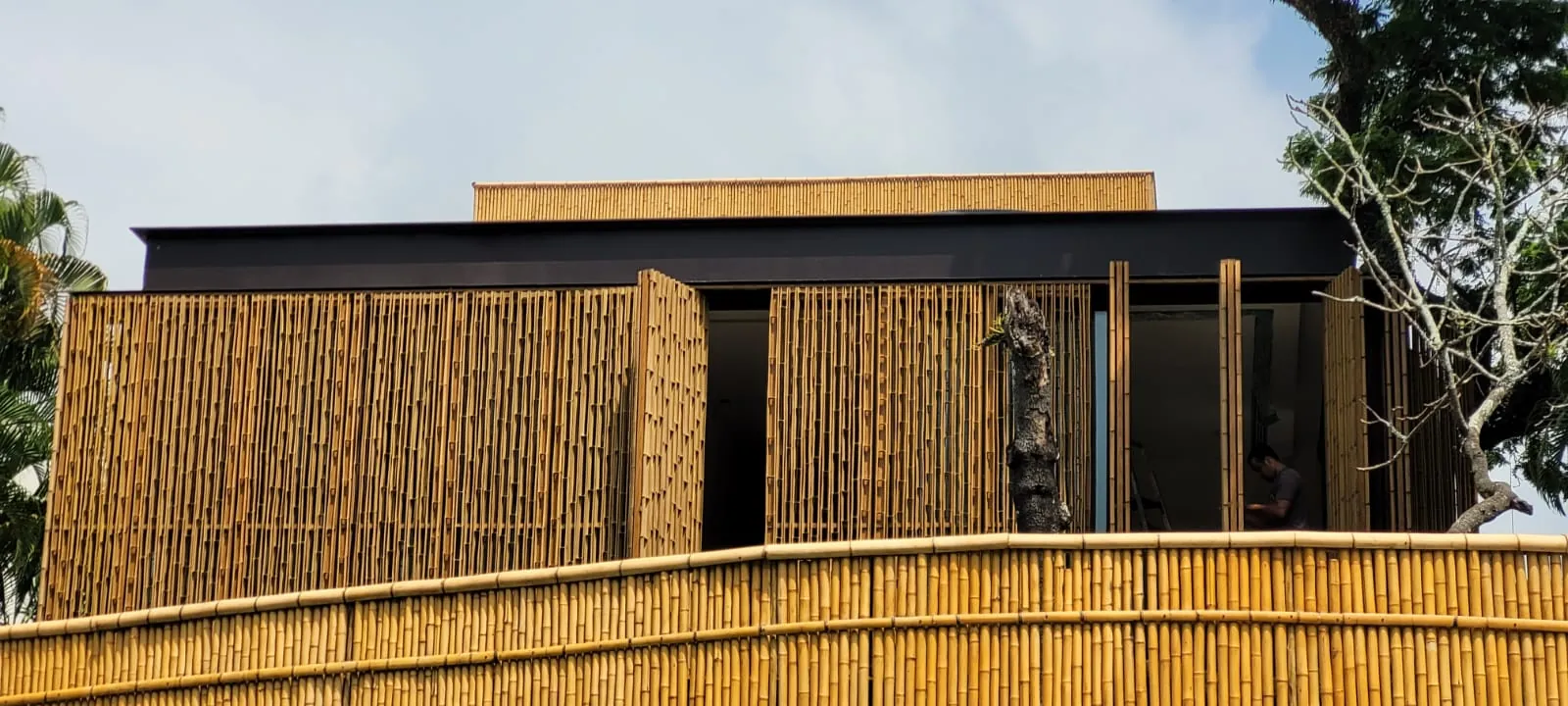 Fachada/brise de bambu do projeto MPG — registro de obra.