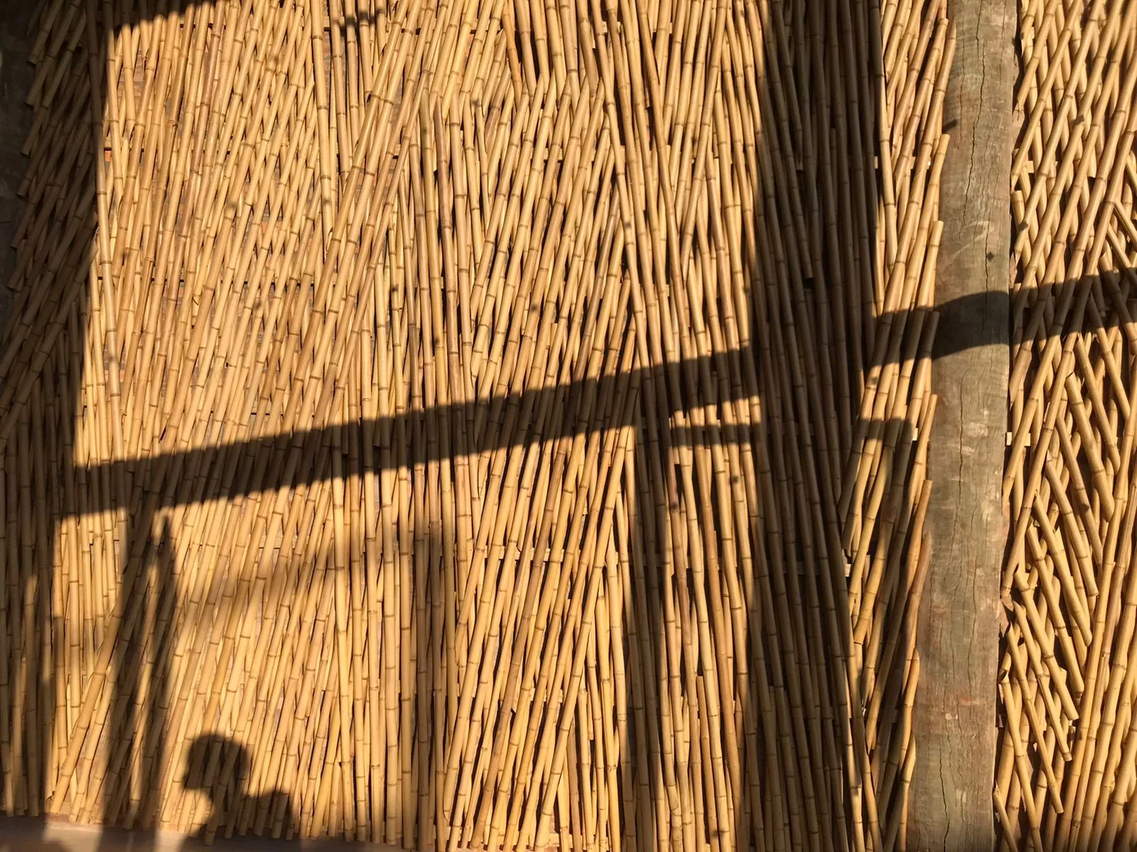 Estrutura e revestimentos de bambu do Vanara Bubble — registro de obra.