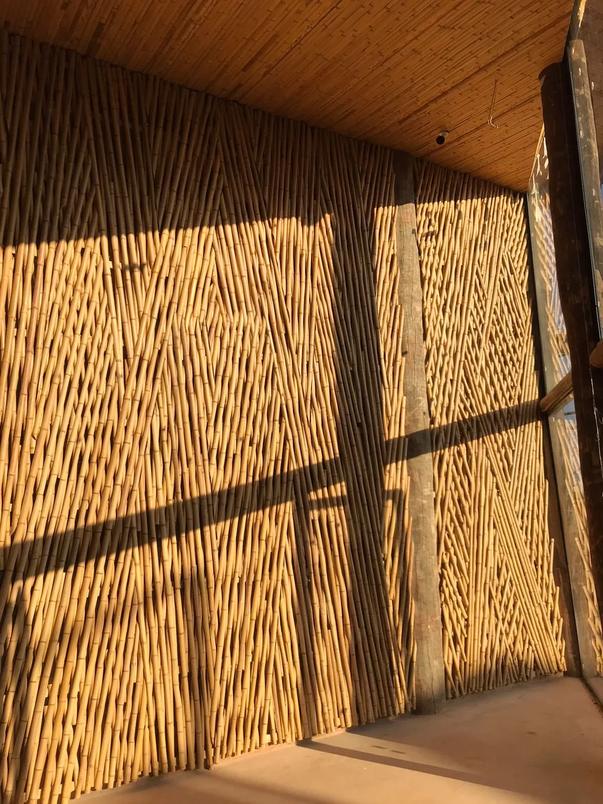 Estrutura e revestimentos de bambu do Vanara Bubble — registro de obra.