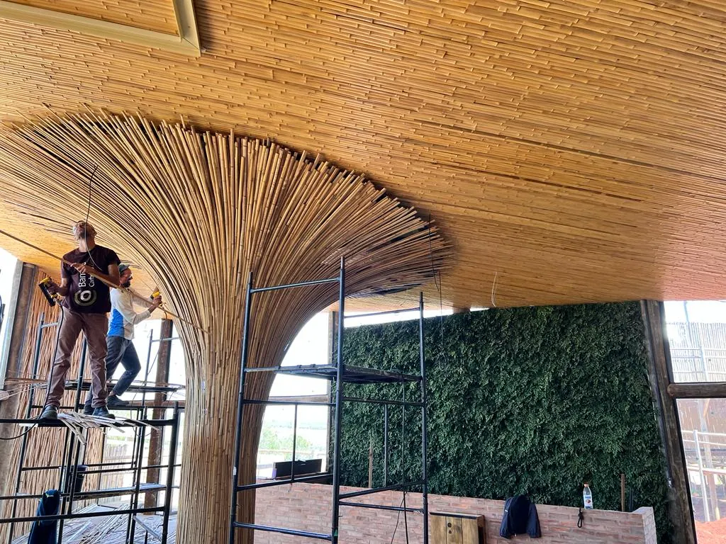 Estrutura e revestimentos de bambu do Vanara Bubble — registro de obra.