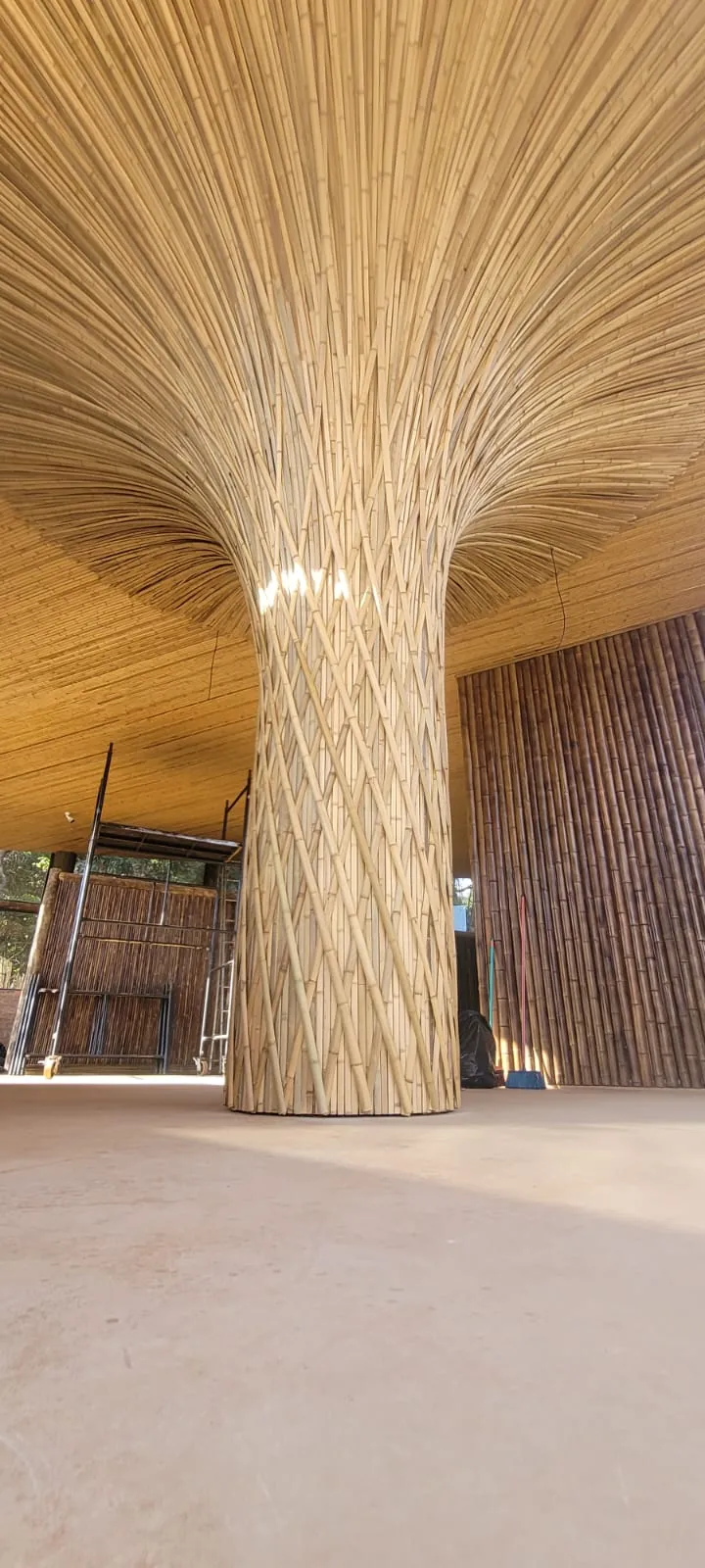 Estrutura e revestimentos de bambu do Vanara Bubble — registro de obra.