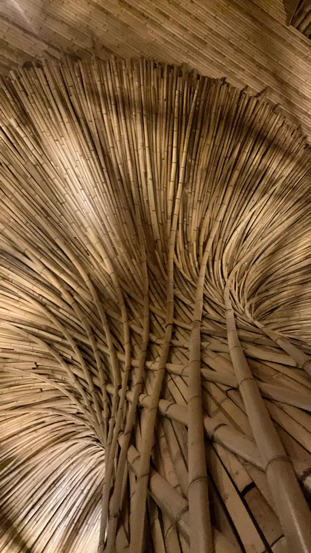 Estrutura e revestimentos de bambu do Vanara Bubble — registro de obra.